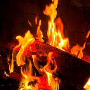 Premium Grade Bundled Firewood Ready to Burn Kiln-Dried